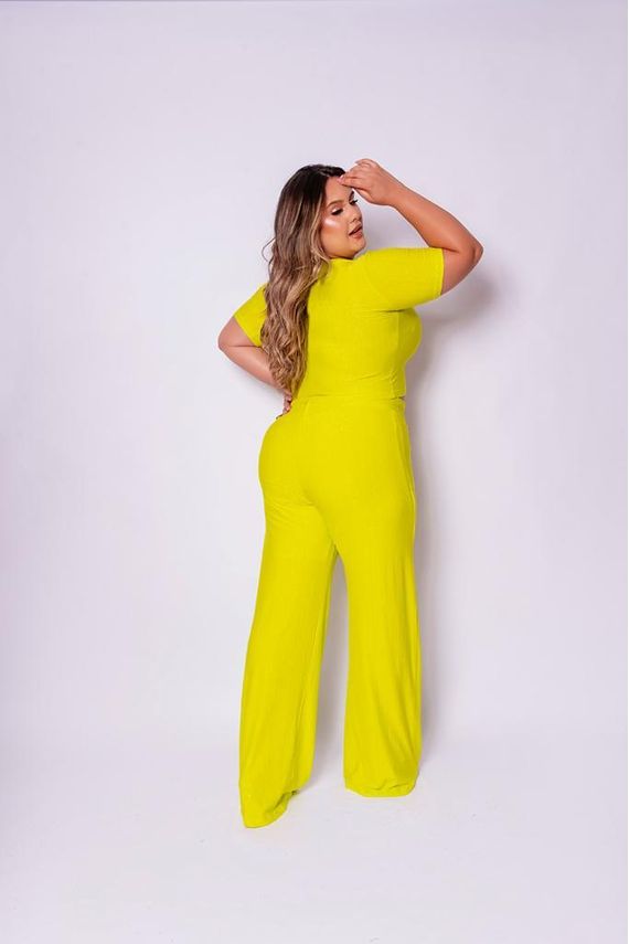 Conjunto Plus Size Cropped E Pantalona Ana Maya Curves Anamayacurves